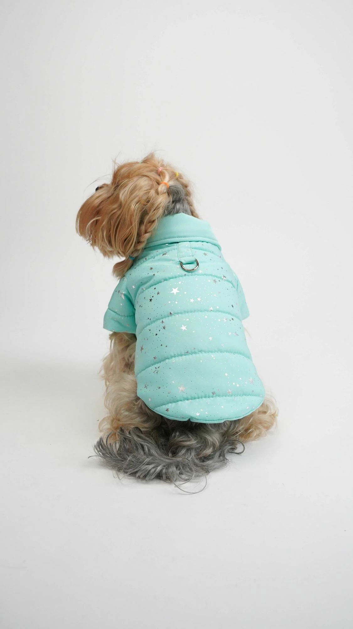 Hoodie për qen, Angel Glow, ngjyrë kaltër, Paws & Whiskers