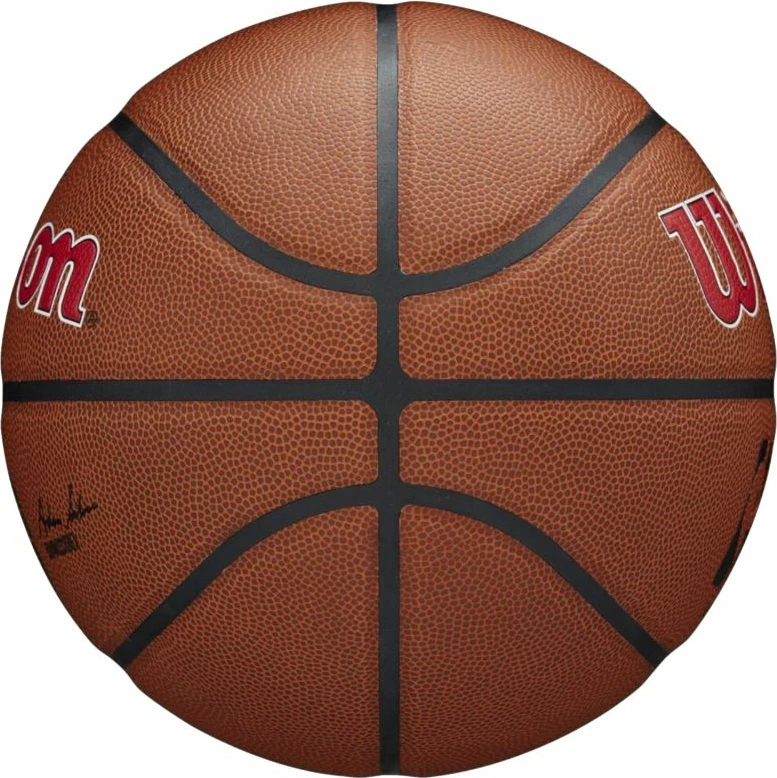 Top Basketbolli Wilson Team Alliance Toronto Raptors, Ngjyrë Kafe [Madhësia: 7]