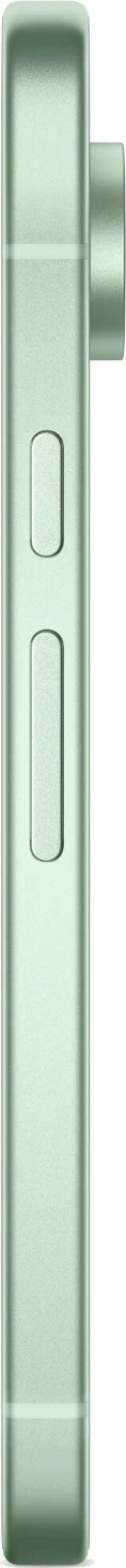 Celular Google Pixel 9 5G 12/128GB Dual SIM Winter Green