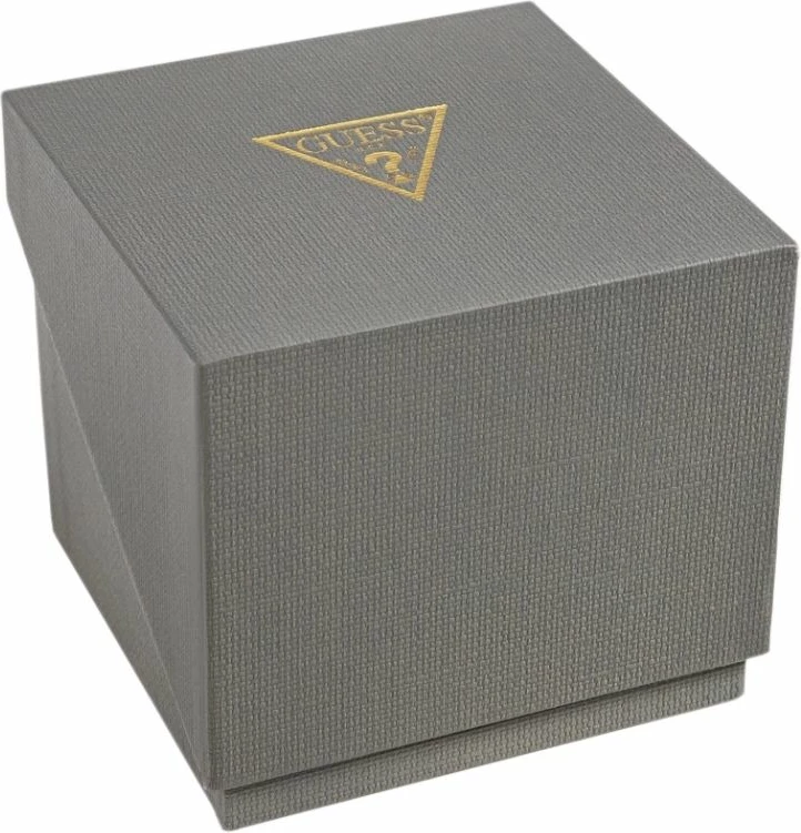 Orë dore për meshkuj Guess Easton GW0965G1, argjendtë