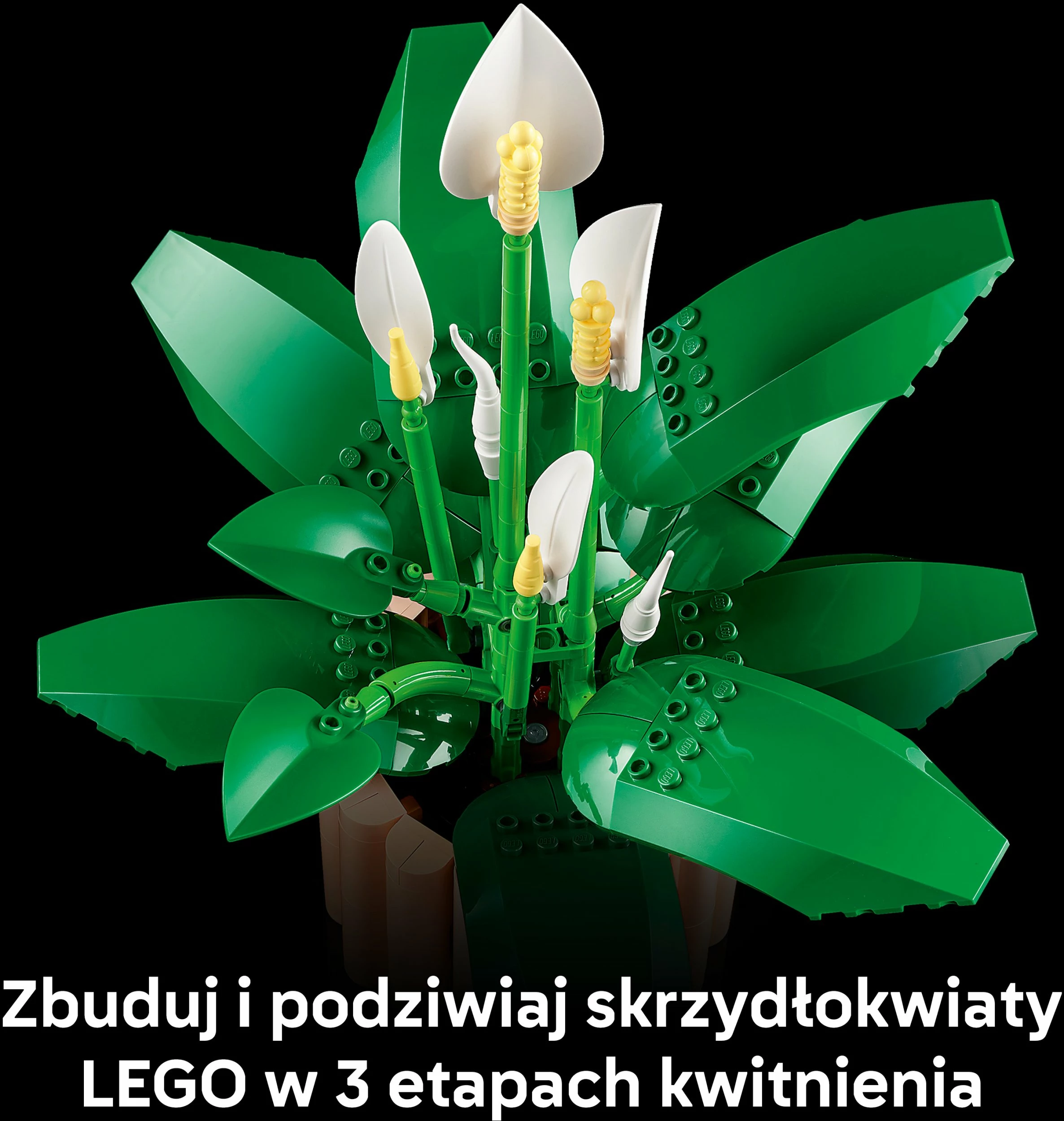 Set ndërtimi LEGO Botanicals Peace Lily 11504, 474 copë, 18+, vazo pjeshkë