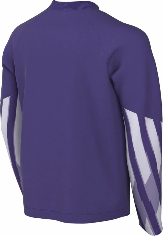 Fanellë portieri për fëmijë Nike Dri-Fit Park V Stadium, e purpurt [Madhësia: L]