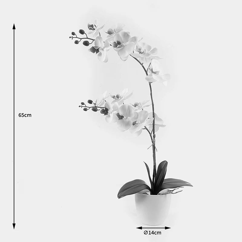 Bimë dekorative orkide në vazo, e bardhë, Inart, 36x17x65cm