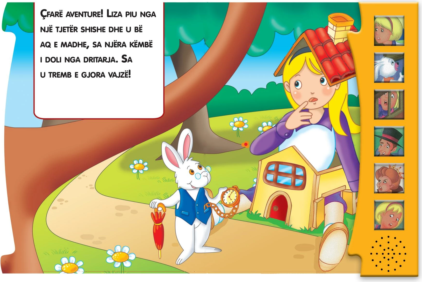 Liza ne boten e cudirave (Degjo perrallen)