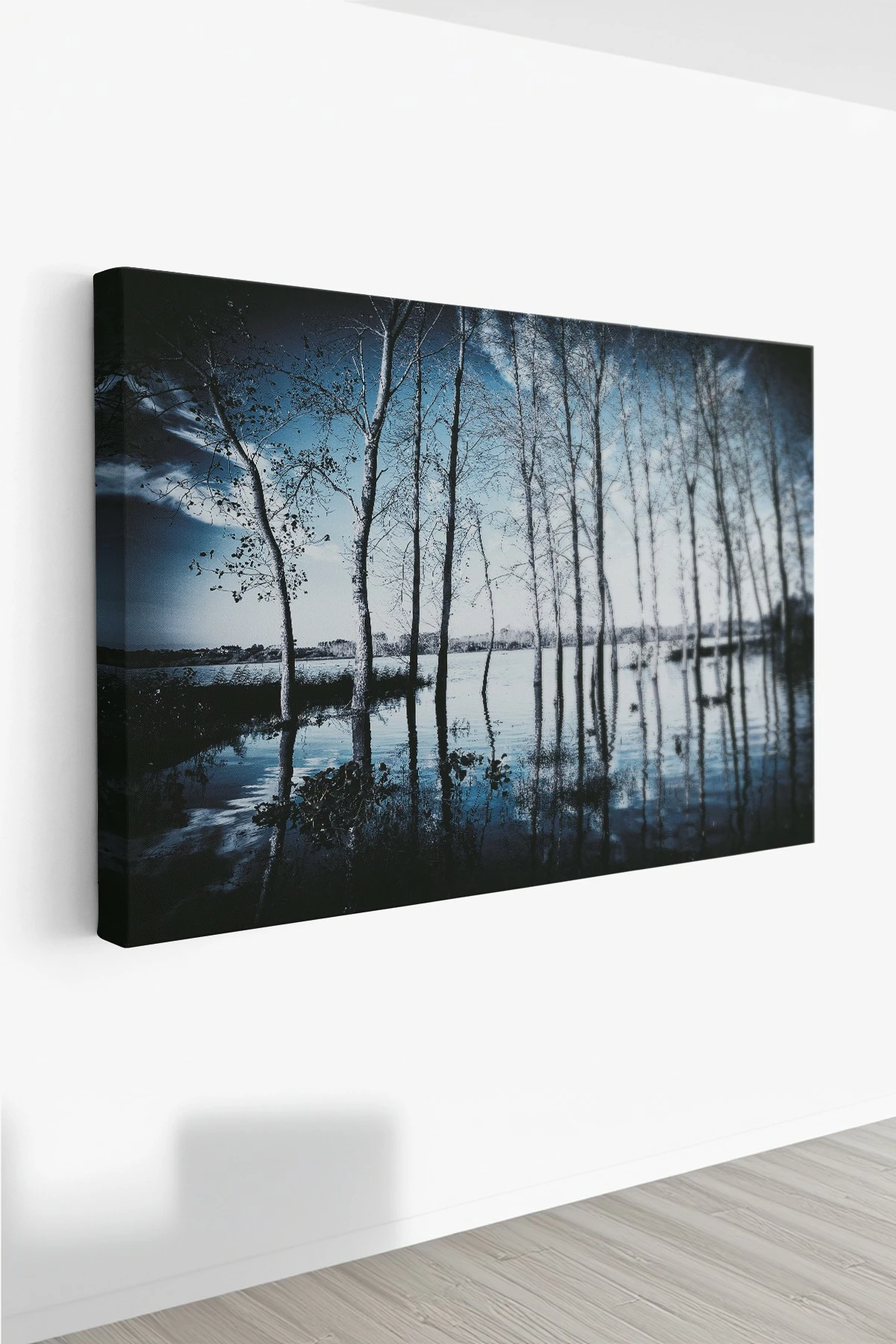 Pikturë dekorative në kanavacë, Wallity, Ersyfdc227, 40x60cm