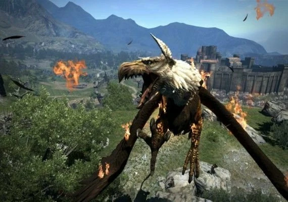 Dragon's Dogma: Dark Arisen EN Global