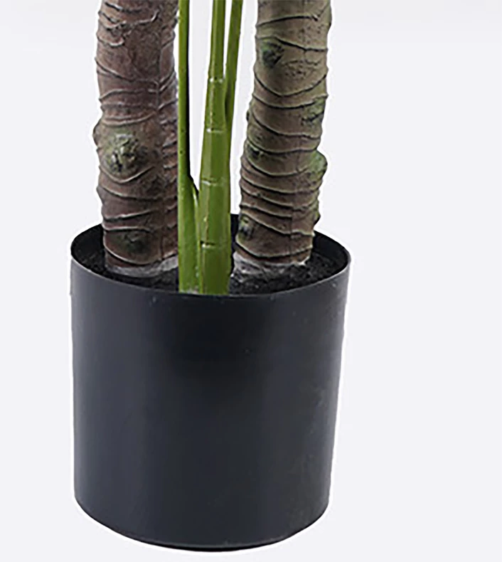 Bimë dekorative Deliciosa në vazo, e gjelbër, D90x160cm