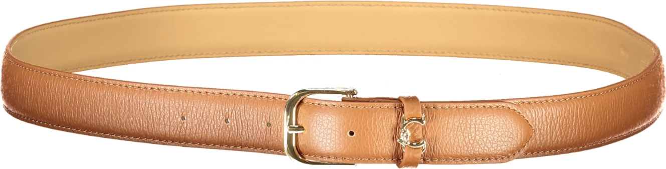 Rryp lëkure Coccinelle femra, kafe