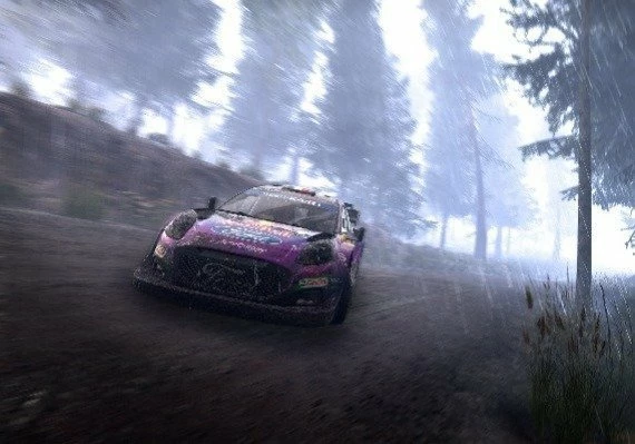 WRC: Generations - Porsche 911 GT3 RS RGT Extra liveries DLC Global