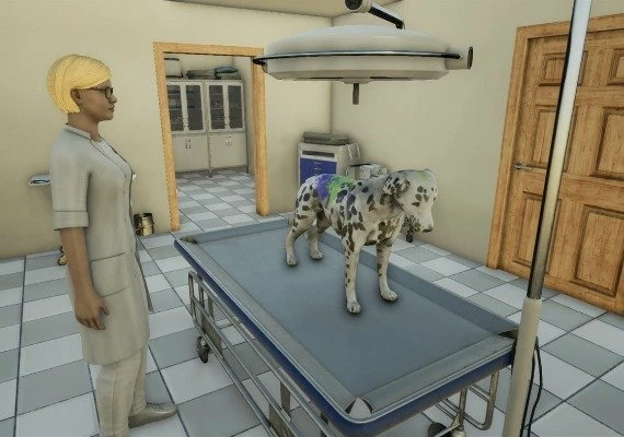 Animal Doctor EN Global