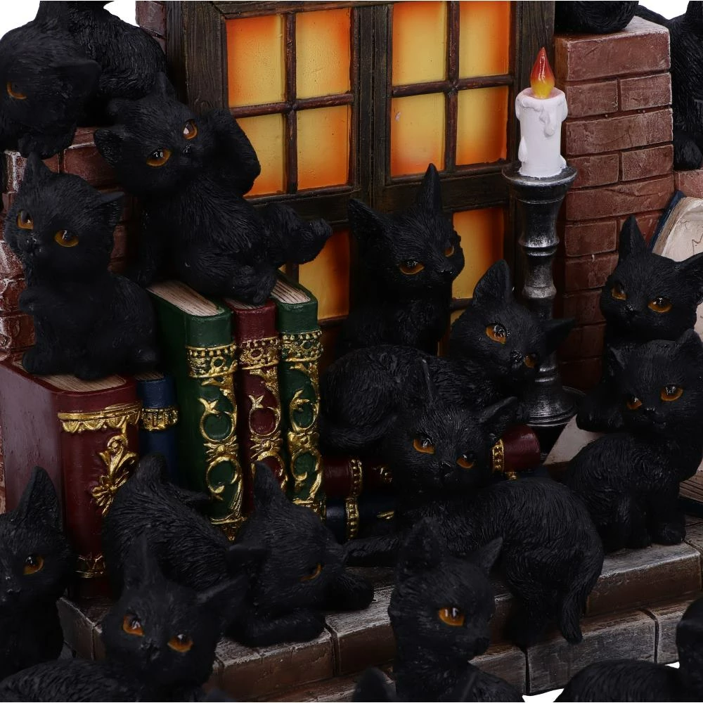 Figurinë dekorative mace NEMESIS NOW The Witches Litter, rezinë, e pikturuar me dorë, assorted, e zezë, 1 copë