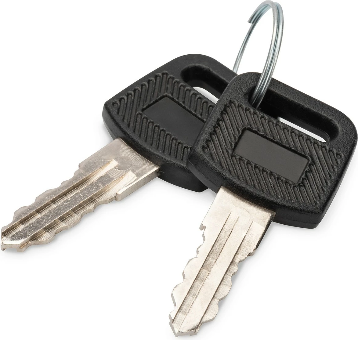 Çelësa Digitus DN-KEY-WM për kasë rrjeti, 2 copë, zi/argjendtë