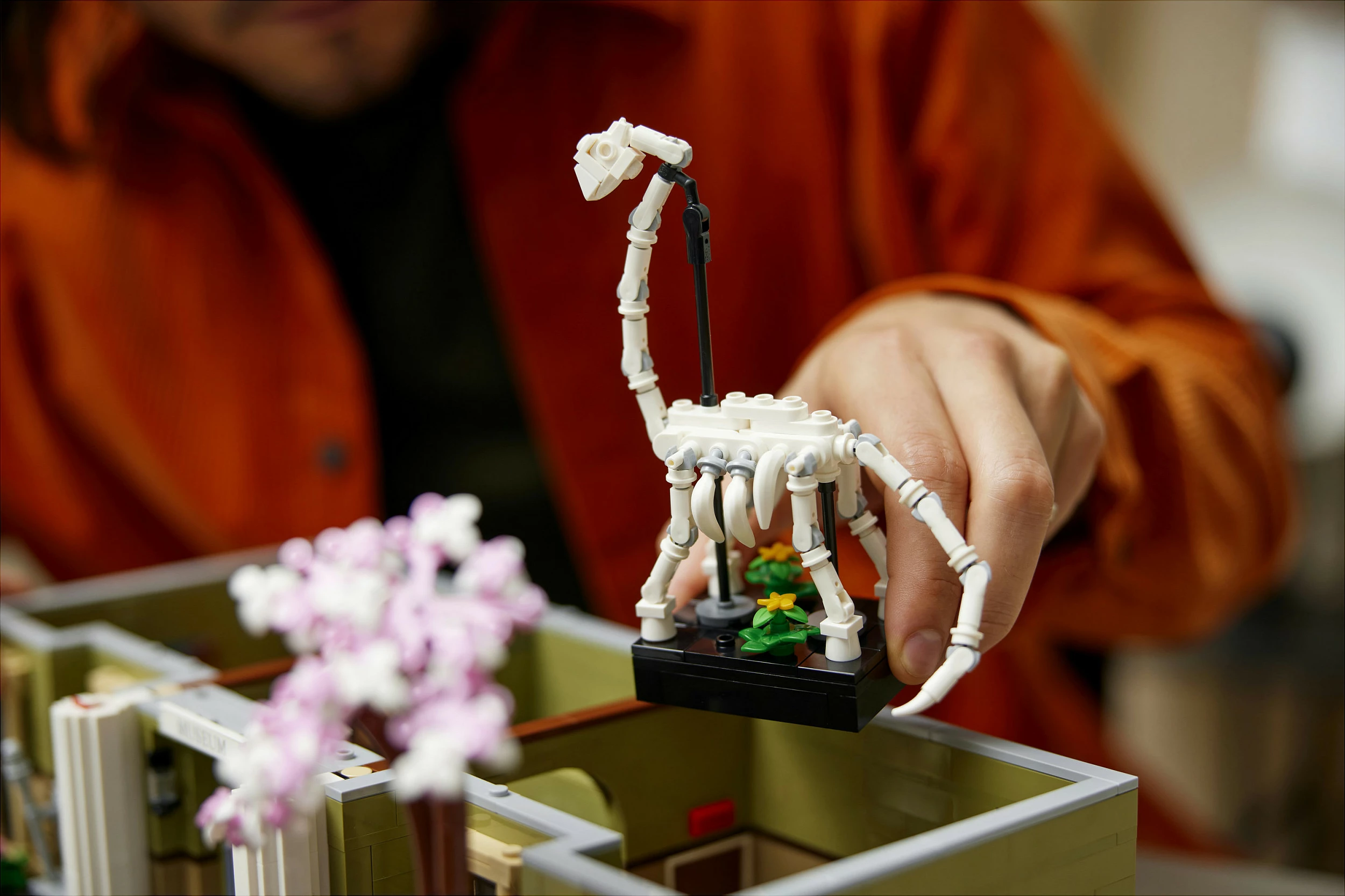 Set ndërtimi LEGO Natural History Museum, 4014 pjesë, për të rritur, plastikë, shumëngjyrësh