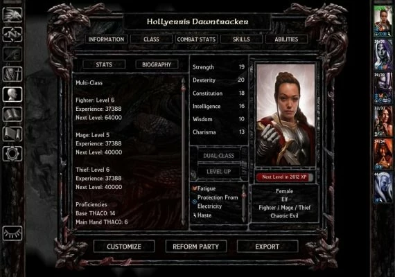 Baldur's Gate: Faces of Good and Evil DLC Global