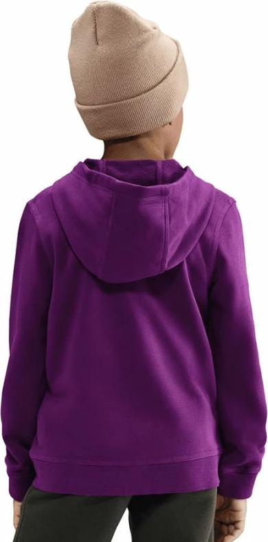 Duks fëmijësh Nike FC Barcelona Club Junior Jr HM3049-595