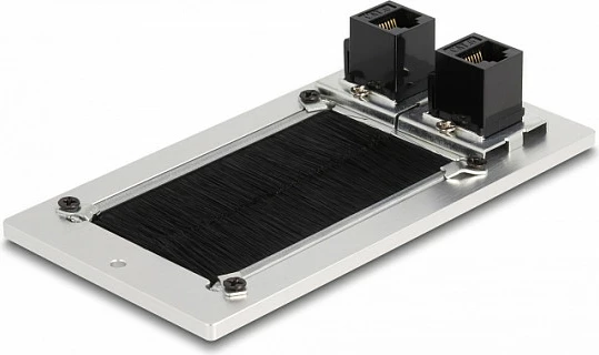 Panel kalimi kabllosh DeLOCK, Cat.6, 2x RJ45 Keystone, alumin, bardhë/zezë
