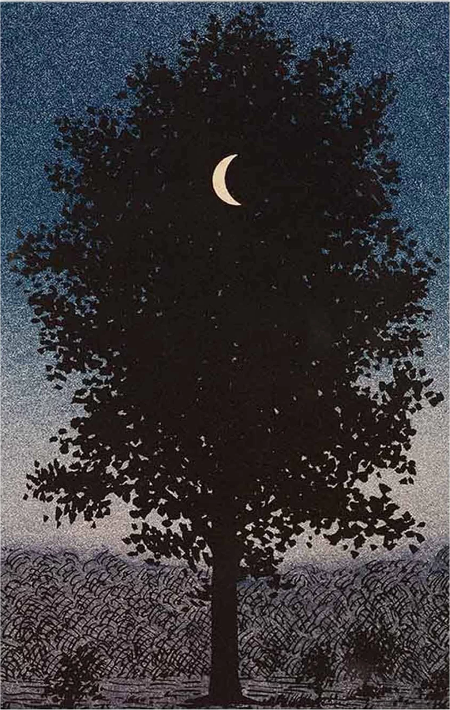 Pikturë muri GOBI FH4850, kanavacë e printuar, 45x3x70cm