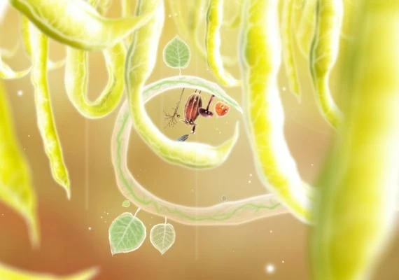 Botanicula Global