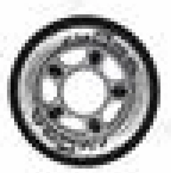 Rrota rollera Nils Extreme, të zeza