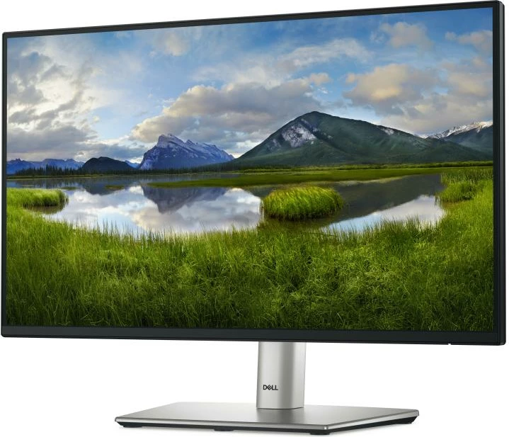 Monitor Dell P2225H 22\" TFT/LCD, Silver/Black