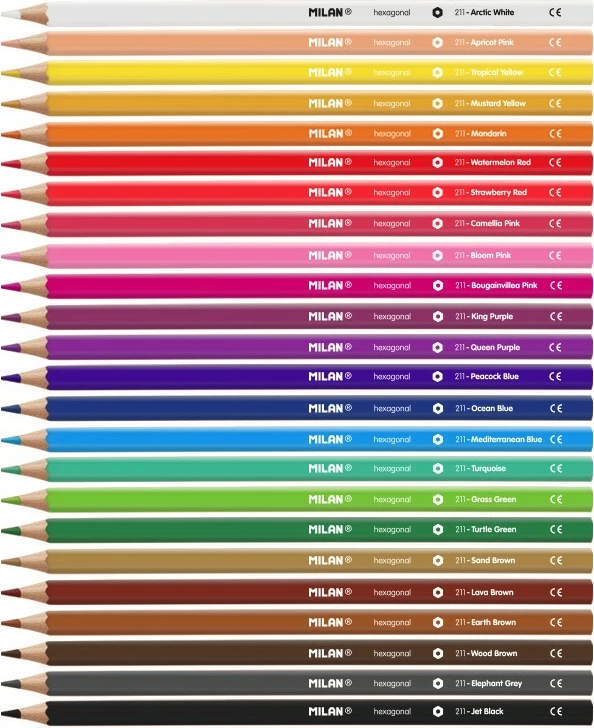 MILAN NGJYRA DRURI 1/24 80024