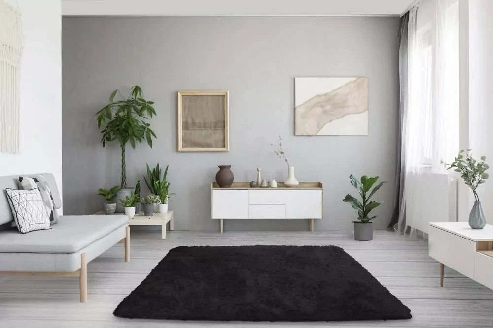 Tepih shaggy Strado Shaggy 60x90 cm, i zi