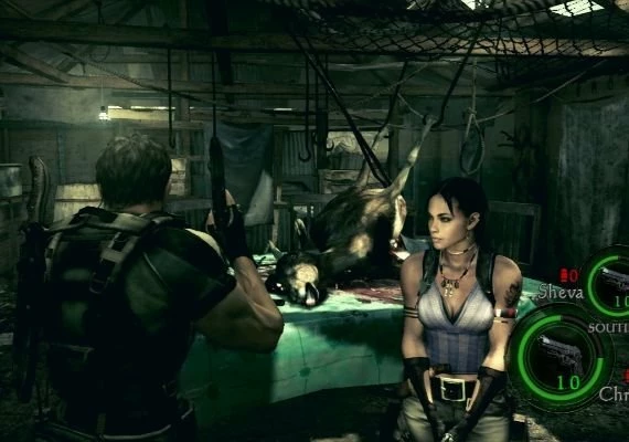 Resident Evil 5 Gold Edition EN/DE/FR/IT/PL/CS/RU Global