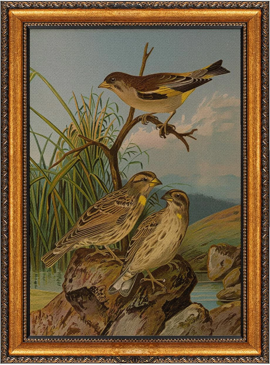 Pikturë dekorative në kanavacë me kornizë, shumëngjyrëshe, Wallity, ATCRCVCNVSMDL19, 50x70cm