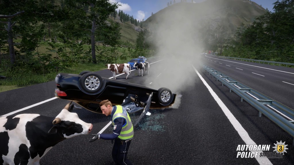 Lojë PS5 Aerosoft Autobahn Police Simulator 3