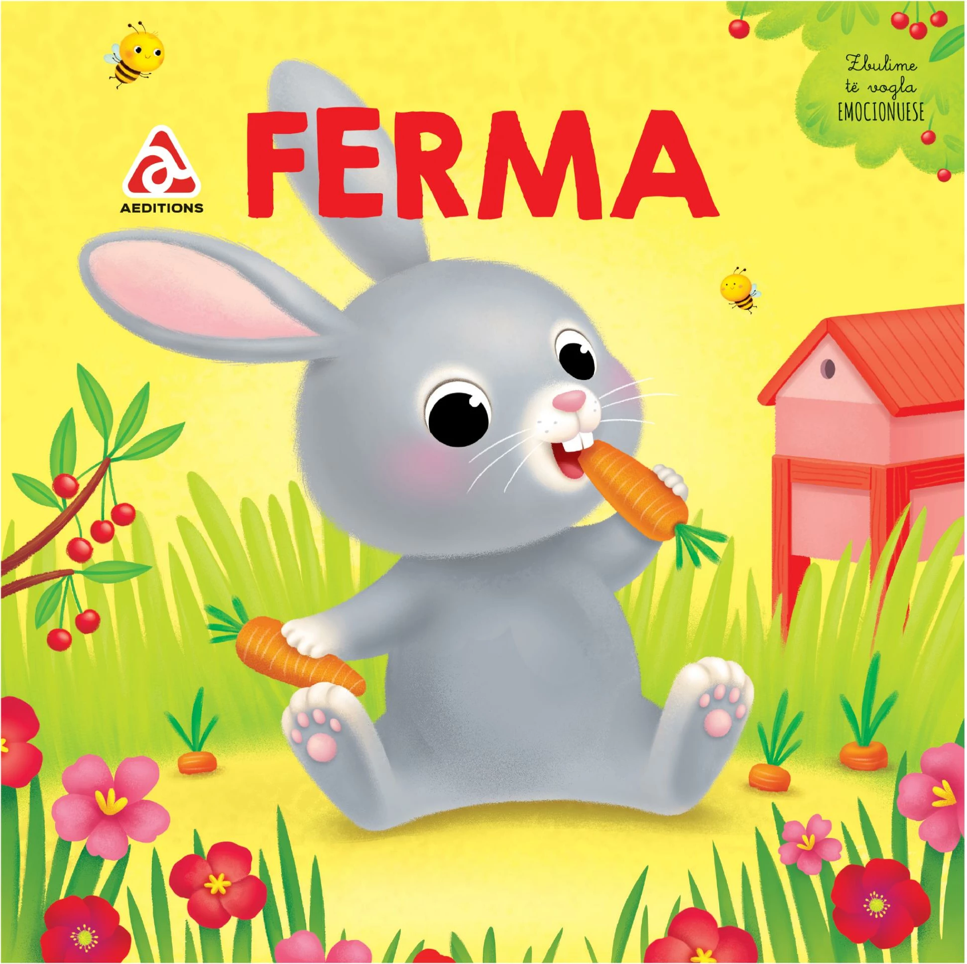FERMA (Zbulimet te vegjelit)