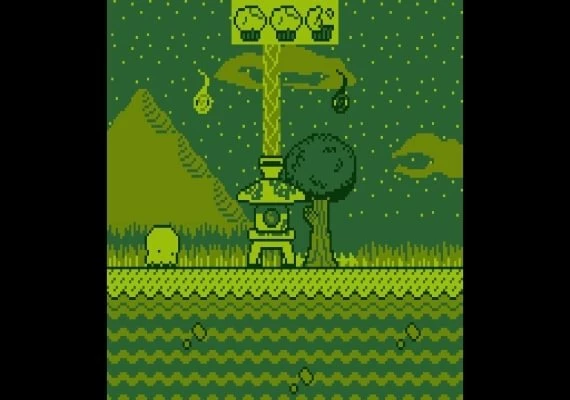 Squidlit EN Global