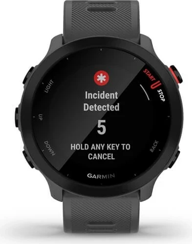 Smartwatch Garmin Forerunner 55, 42 mm, GPS, Gri