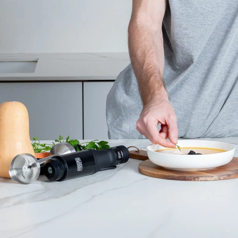 Blender dore WD Black+Decker BXHBA1501E, i zi