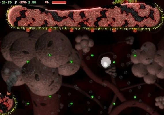 Systematic Immunity EN Global