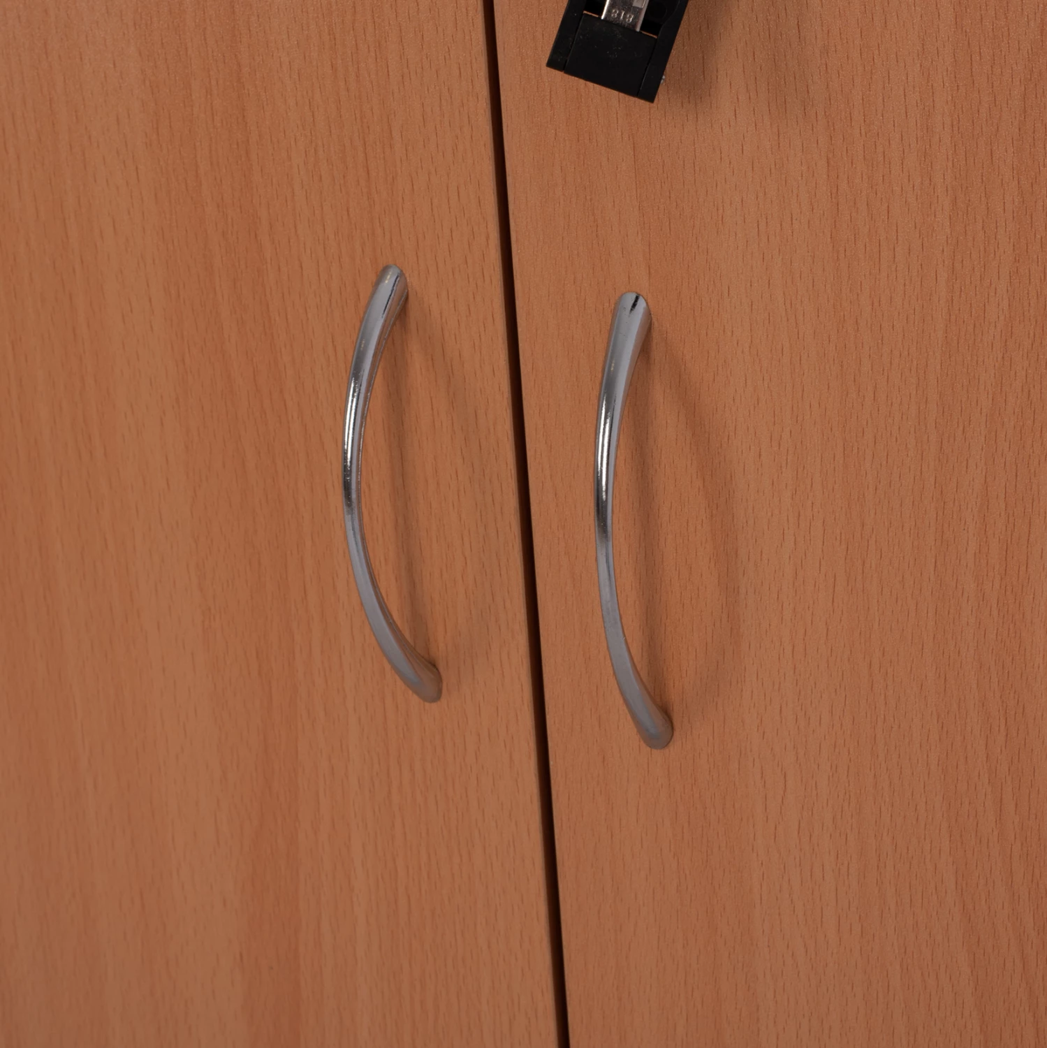 Raft profesional për zyre, ngjyrë lisi, FH2014.01, me 2 dyer, 80Χ40Χ180