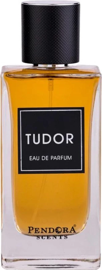 Eau de Parfum për meshkuj Pendora Scents Tudor, 100ml