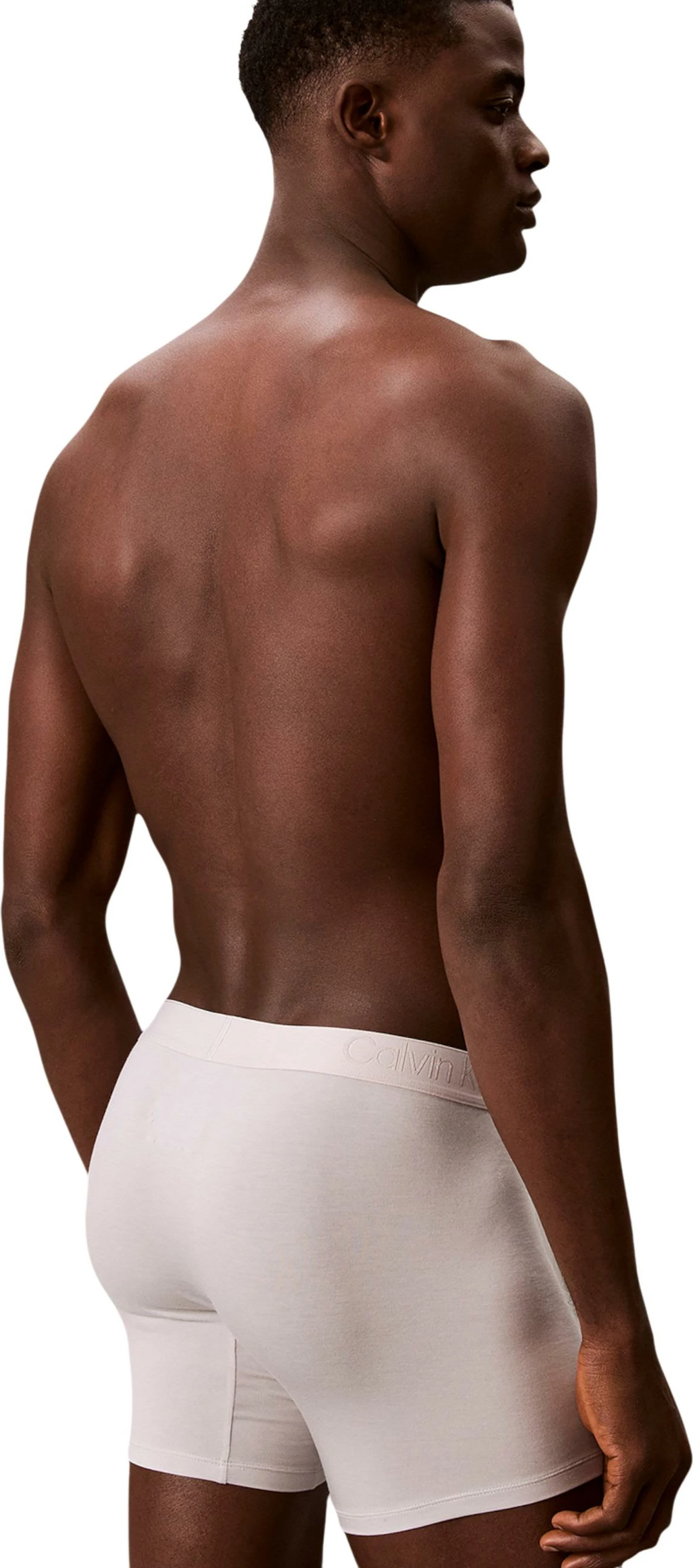Të brendshme për meshkuj Calvin Klein Underwear 000NB3652A 3PK, gri e çelët [Madhësia: L]