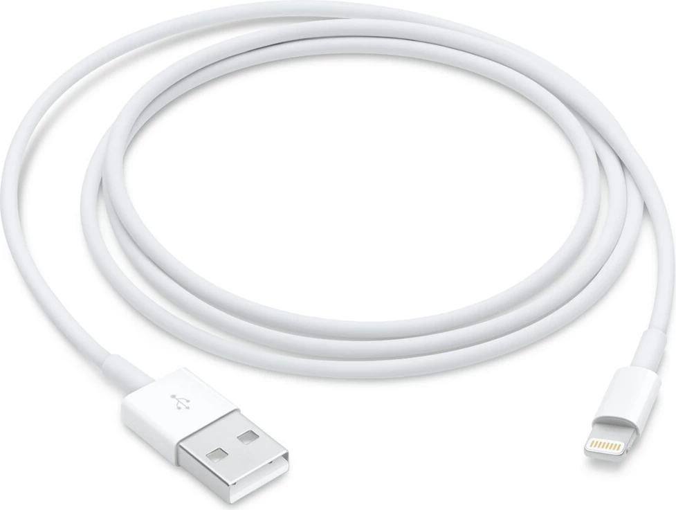 Apple Lightning to USB Cable (1 m)