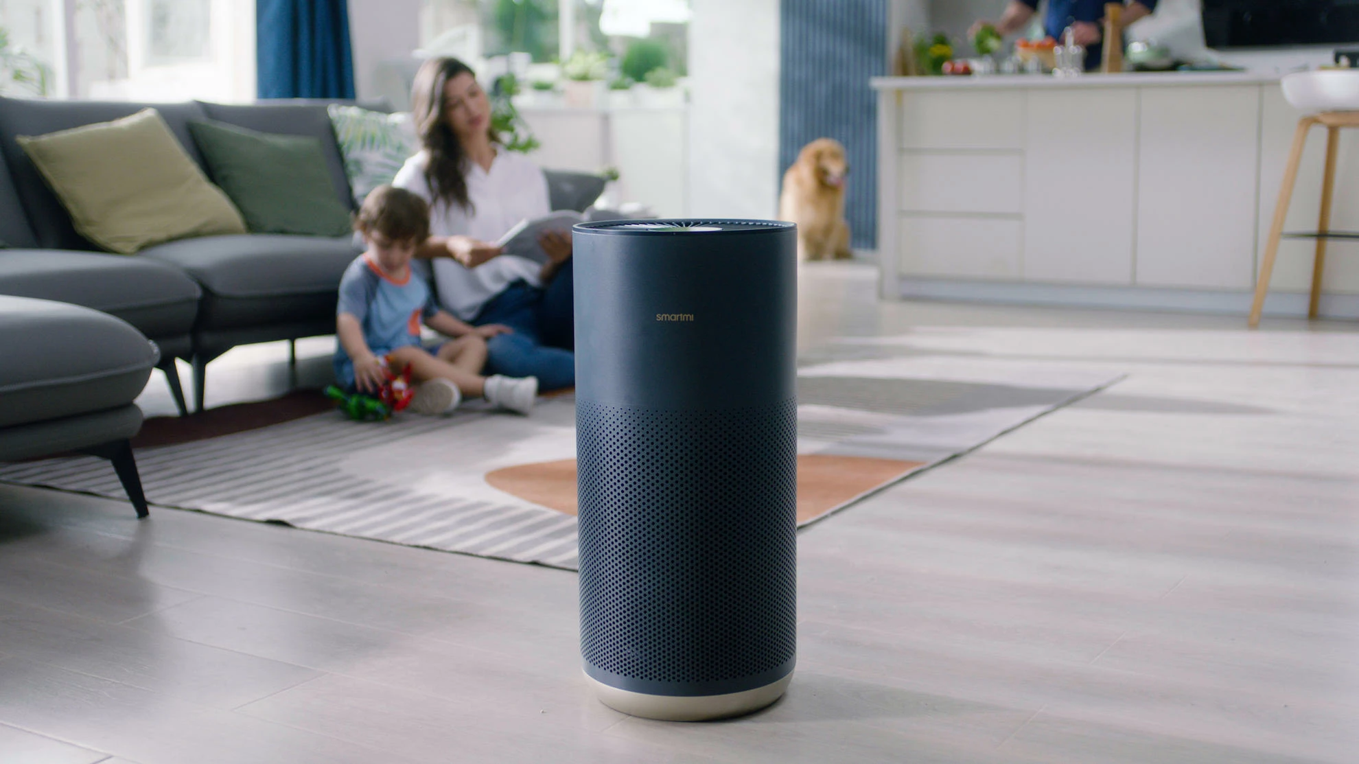 Pastrues ajri Smartmi Air Purifier 2, 40 W, për 26-45 m², HEPA H13 + karbon aktiv, UV-C, gri