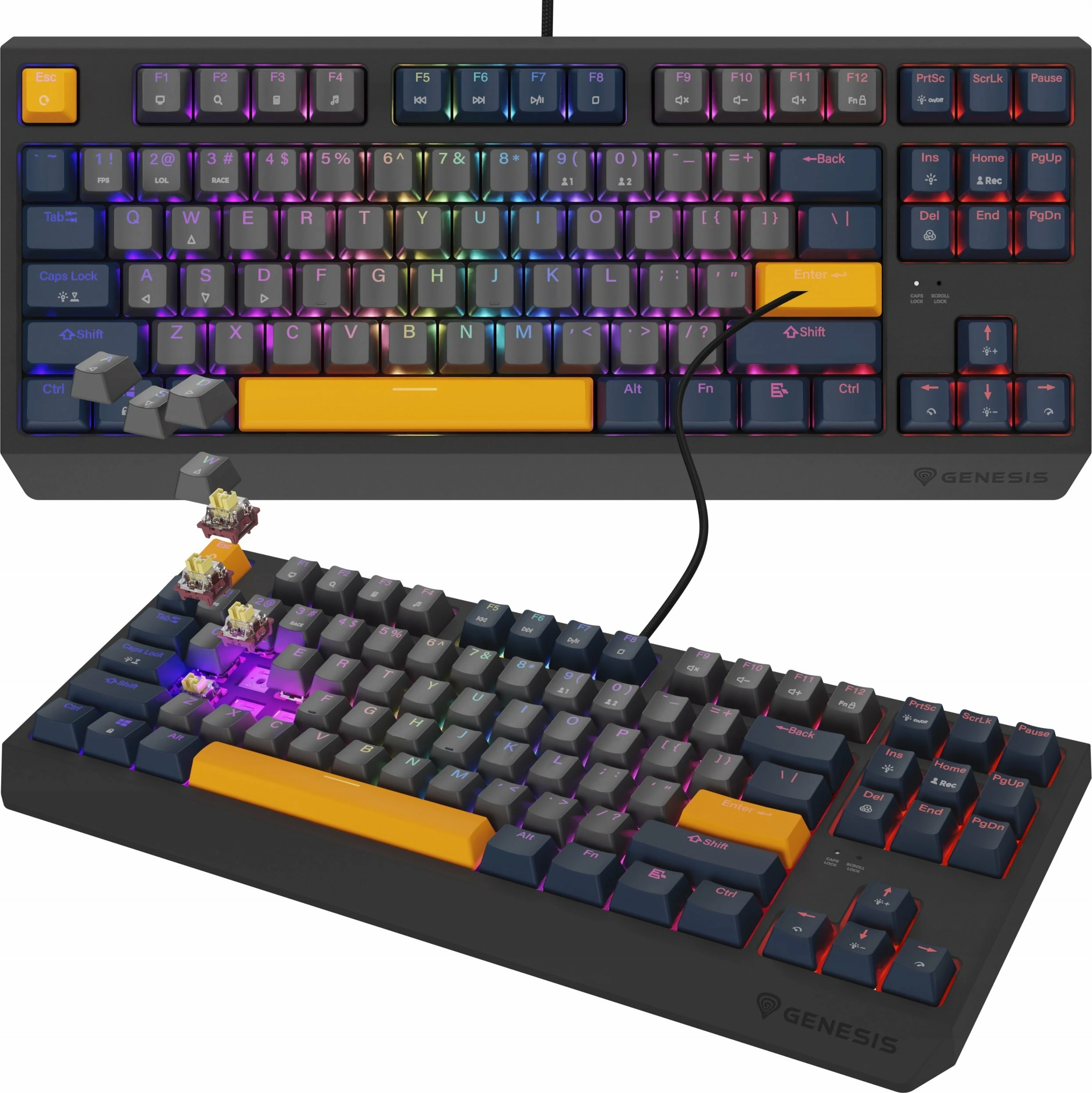 Tastierë mekanike gaming GENESIS Thor 230 TKL NKG-2164, Outemu Panda, Hot Swap, RGB, USB me kabllo, US layout, aksente blu