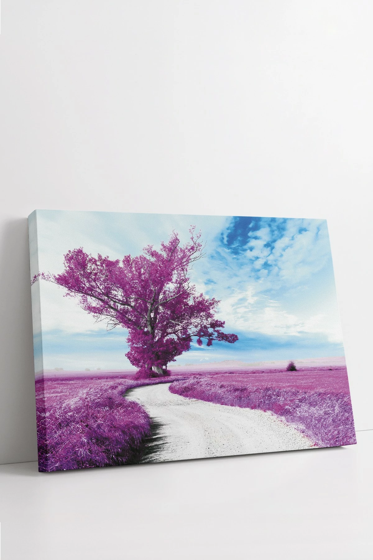 Pikturë dekorative në kanavacë, shumëngjyrëshe, Wallity Ersyfdc57, 40x60cm