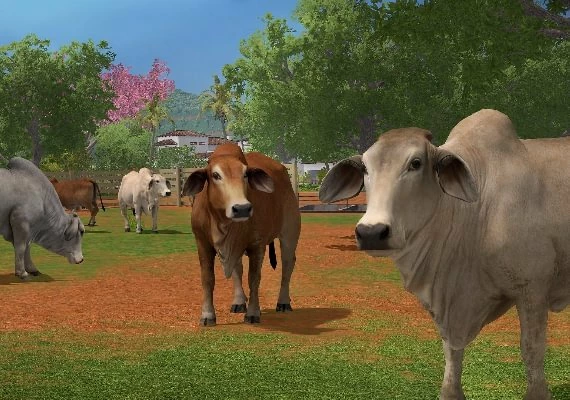 Farming Simulator 17 - Platinum Expansion DLC EN/DE/FR/IT Global