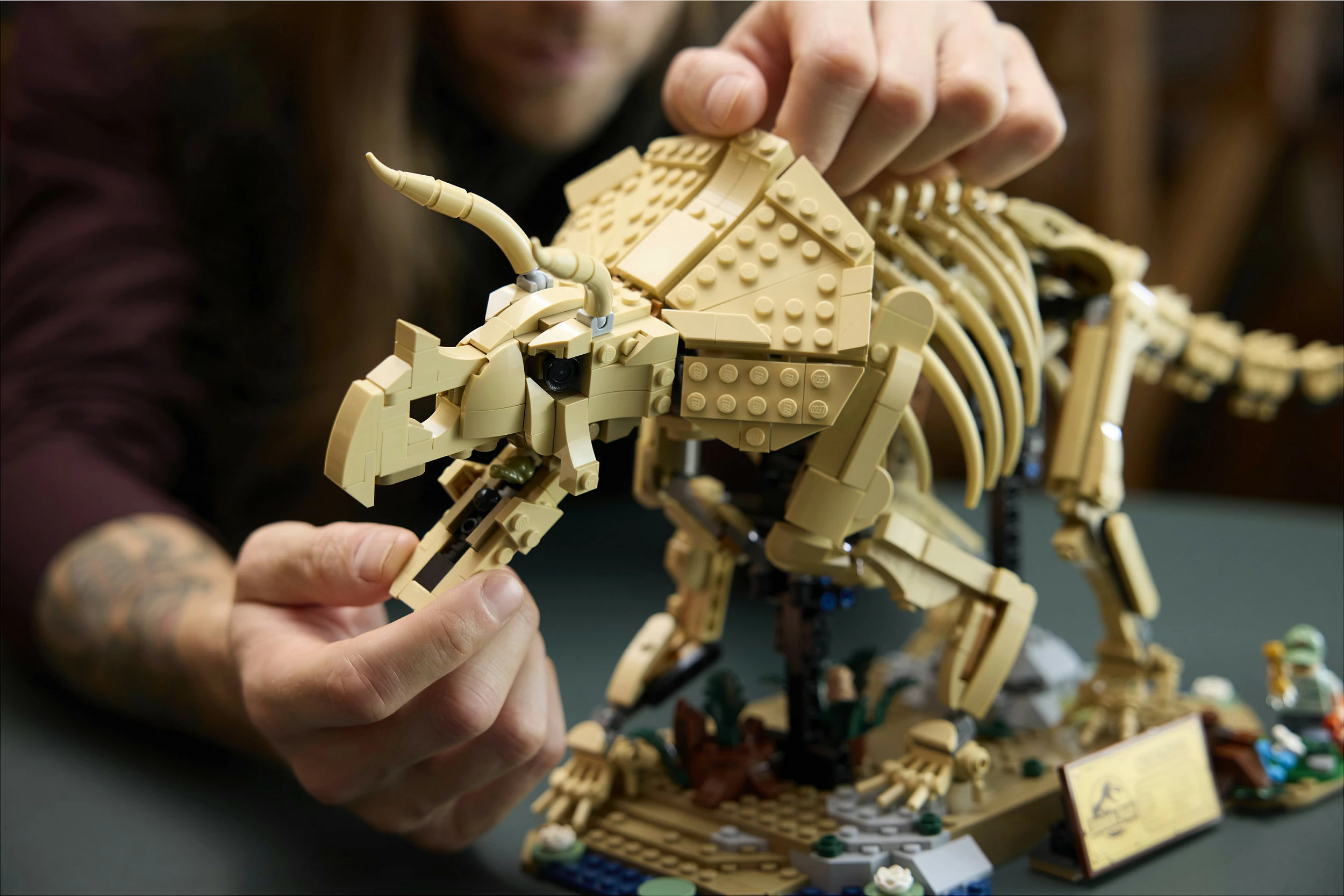 Set ndërtimi LEGO 77985 Dinosaur Fossil Triceratops, 1154 copë, 18+, multikolor