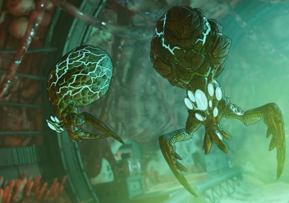 Borderlands 3 - Guns, Love, and Tentacles DLC EN Global