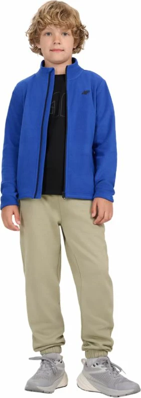 Fleece për djem 4f, cobalt [Madhësia: 164]