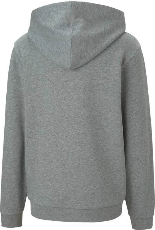 Duks për fëmijë Puma teamGOAL 23 Casuals Hoody Jr, gri [Madhësia: 116]
