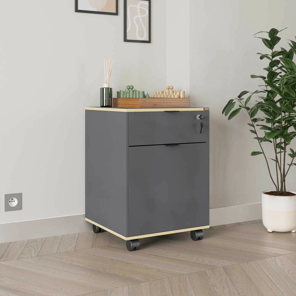 Dollap multifunksional Hanah Home, Rkm-311-Ax-1, antracit dhe lis, 41x61x41cm