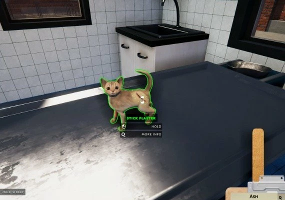 Animal Shelter: Puppies and Kittens  DLC Global