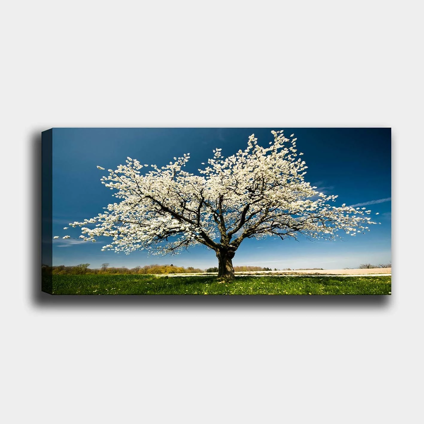 Pikturë dekorative në kanavacë, shumëngjyrëshe, Wallity YTY1233464_50120, 50x120cm