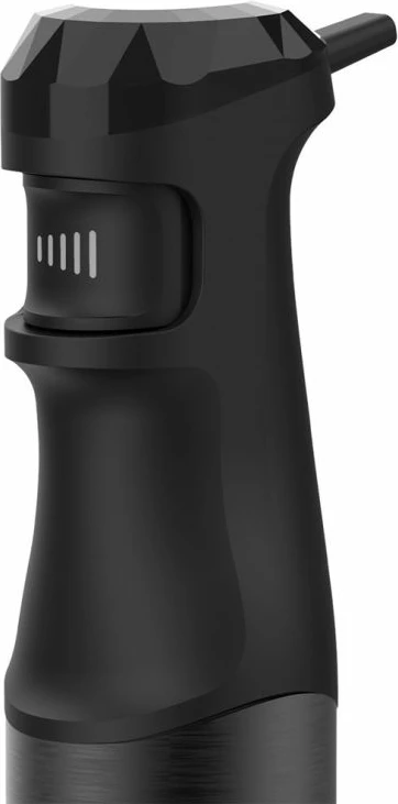 Blender dore WD Black+Decker BXHBA1501E, i zi